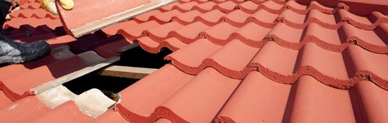 compare Rockford roof repair quotes